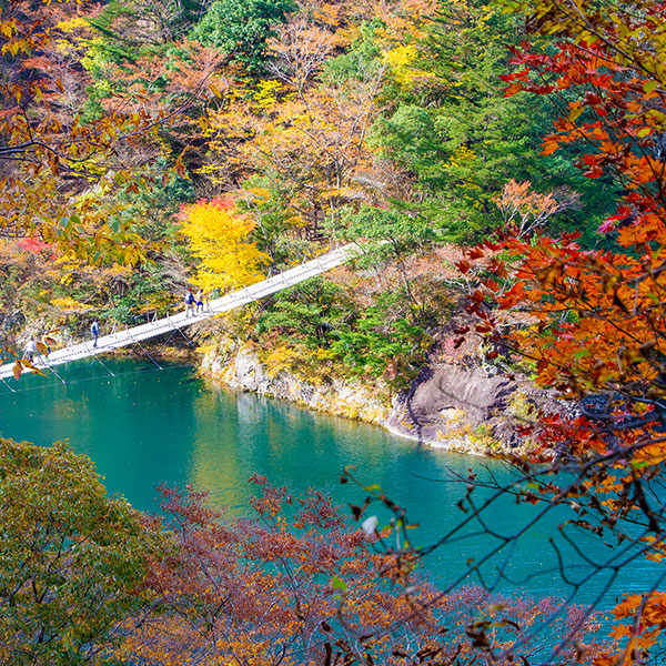 寸又峡 夢の吊り橋を秋に撮影した写真