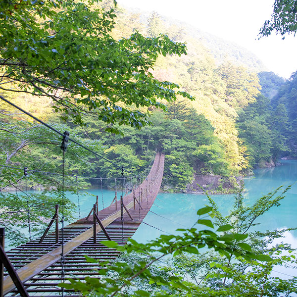 寸又峡 夢の吊り橋を夏に撮影した写真